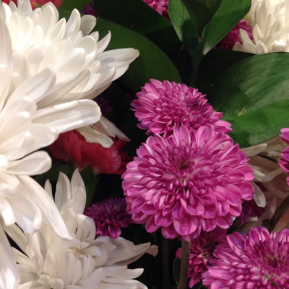 Meet your Posher, Valerie